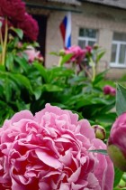 Фото организации